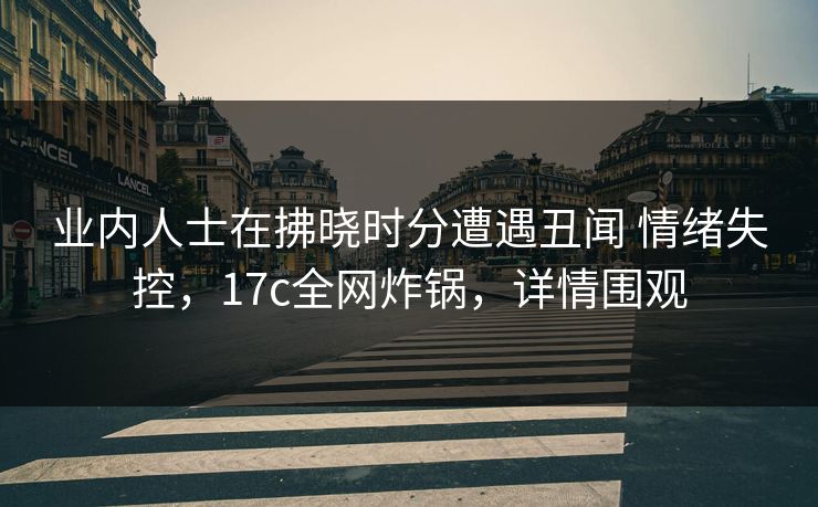 业内人士在拂晓时分遭遇丑闻 情绪失控，17c全网炸锅，详情围观